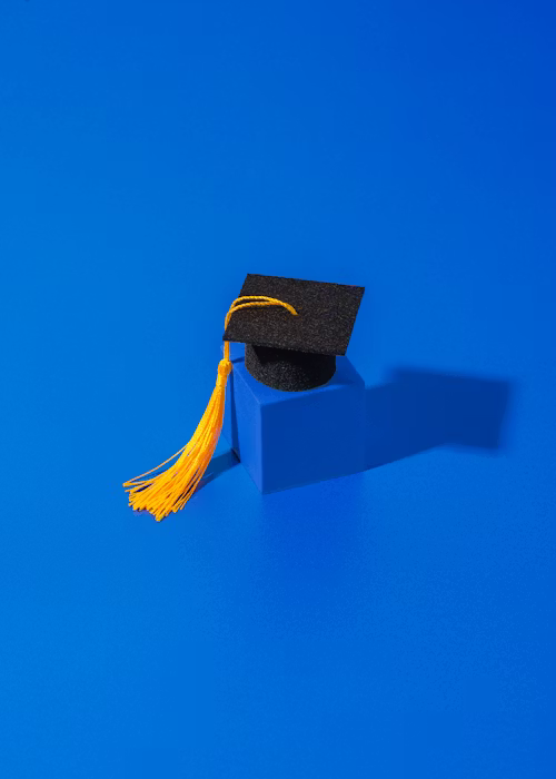 Academic support services USA by OnlineClassesHelper.com